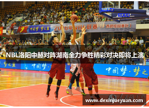 NBL洛阳中赫对阵湖南全力争胜精彩对决即将上演