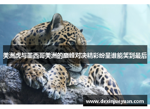 美洲虎与墨西哥美洲的巅峰对决精彩纷呈谁能笑到最后